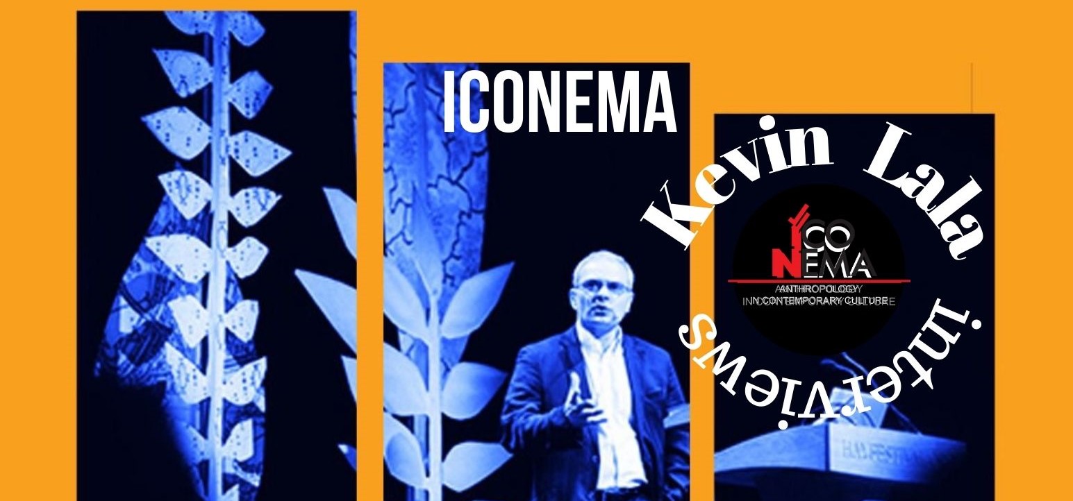 Read more about the article Iconema interviews Professor Kevin Lala